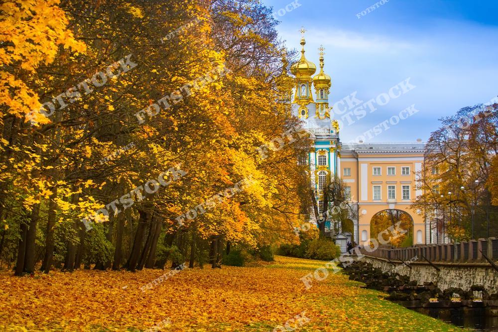 На фотографии изображен Екатерининский дворец в Царском Селе, окруженный деревьями с золотистой листвой. Величественные золотые купола дворца контрастируют с теплыми оттенками осенних деревьев, подчеркивая богатую архитектуру и красоту природы вокруг. Прогулочные дорожки покрыты яркими листьями, создавая уютную атмосферу осени в одном из самых известных парков Пушкина.